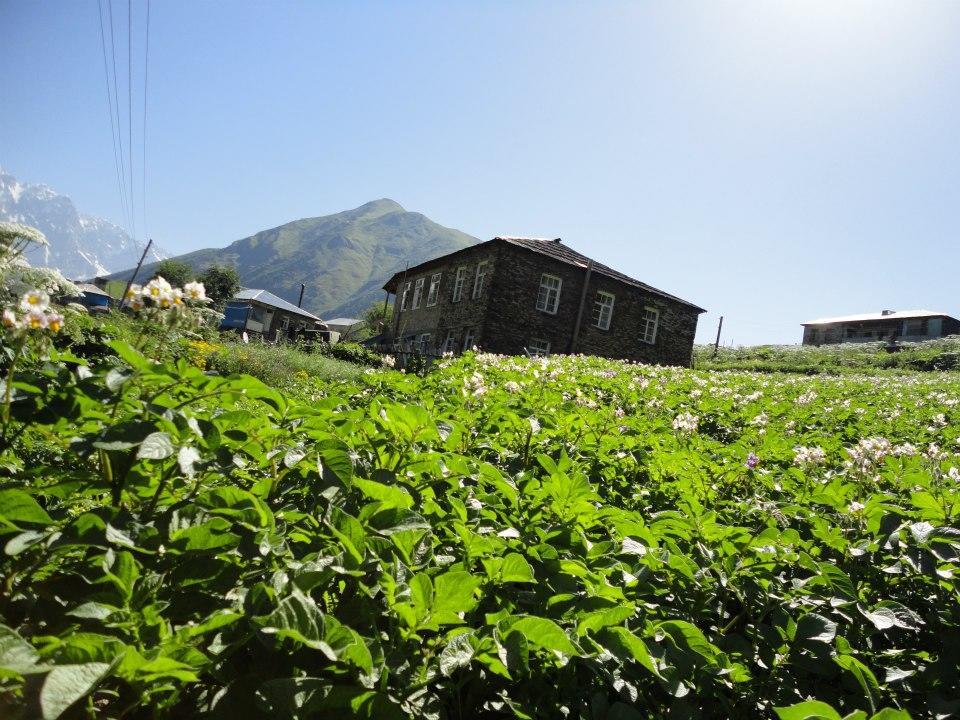 Caucasus Guesthouse Ushguli Exterior foto